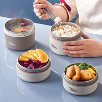 Portable Electric Heated Lunch Box &